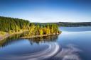 Kielder Forest as one the best UK forests to explore this Earth Day