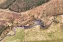The area where the beavers live in Northumberland in March 2024, showing the difference the animals have made on the land since they were reintroduced in 2023