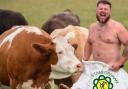 Young farmers hope 'almost nude' calendar can raise money for charities