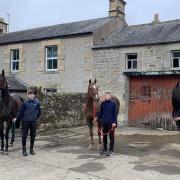 WAITING TO PARADE: From left to right, Ruinous,  Alf ‘N’ Dor and Choctaw Brave