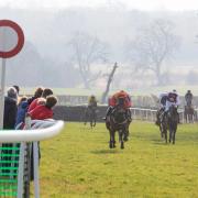 Tynedale Point to Point. Picture: Verity Johnson