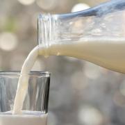 Dairy giants farmgate price drops announced