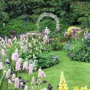Patricia Hodgson's garden is being opened up to the public once again this summer for charity