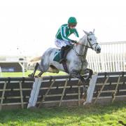Atomic Angel (Sam Coltherd) clears the last in great style on her way to victory at Catterick last season