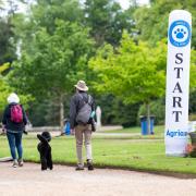5th annual dog walk to be held at Belsay Hall, Northumberland