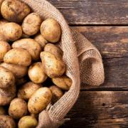 How to succeed at home-grown spuds