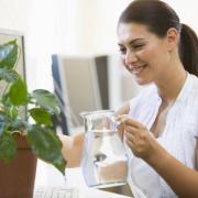 A new study claims that plants can boost productivity and improve workers' sense of wellbeing.