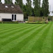Luscious green lawns could be a thing of the past.