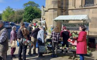 The plant swap and share stall is making a return
