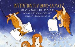 The poster for the launch of The Armadillo Pillow Fight and other Tales