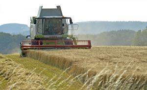 Free support available for farmers in Northumberland
