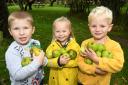 Theo Bond, Isla Pearson and Samuel Robinson picking apples in the orchard at Wheelbirks Harvest Event.