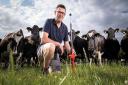 Mark Housby with his cows on Peepy Farm