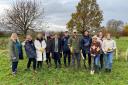The NEPO team took part in tree planting