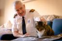 Dermot Murphy, RSPCA inspectorate commissioner, pictured with a rescue cat