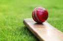 West Tyne Cricket: Donkin's delight after ton hit