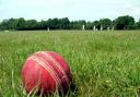 The latest round-up from the West Tyne Cricket League.