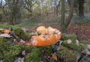 Pumpkins left to rot in woodland