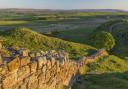 Hadrian's Wall looking west towards Sycamore Gap.