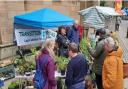 Spring plant swap event set to take place this weekend