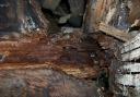 An example of wet rot