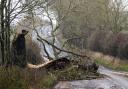 A 'Grim Reaper' on a rural Northumberland road in the aftermath of Storm Arwen