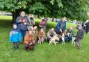 Scrufts event winners and Rosie the collie who won two events and best in show
