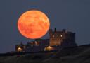 Dan Monks' photograph of the Blue Super Moon at Bamburgh Castle