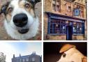 The Heart of Northumberland and Riverdale Hall Hotel are dog-friendly