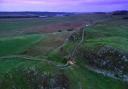 Hadrian’s Wall: Recovering Nature has been launched a week after the iconic tree at Sycamore gap was felled