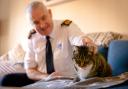 Dermot Murphy, RSPCA inspectorate commissioner, pictured with a rescue cat