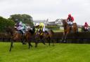 Hexham Racecourse celebrates it  'freedom' after X account ban