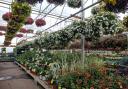 Nine of the best garden centres in the Tyne Valley according to Google reviews