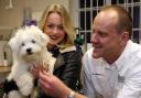 Orchard House Vets in Hexham. Vet Tim Pearson with Milo the Maltese Terrier and owner Eleanor Donkin.