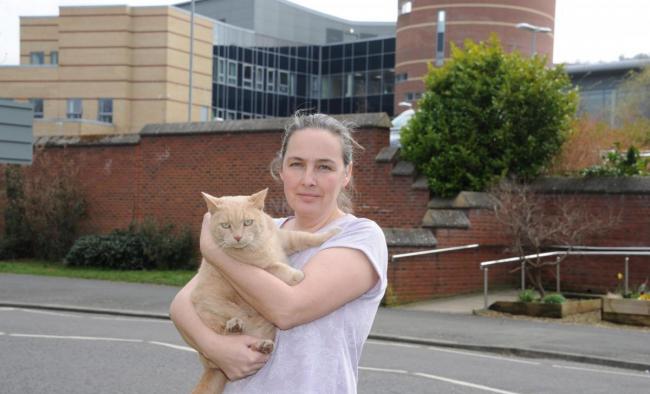 Yang the cat with owner Glynis Bell, from Hexham. Photo: NORTH NEWS