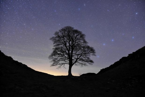Hexham Courant: This photo of Sycamore Gap taken by Martin Casey features in the exhibition.