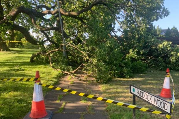 BLOCKED: Part of the fallen tree which blocked the footpath and damaged the streetlight. Image: Prudhoe Councillor Gordon Stewart