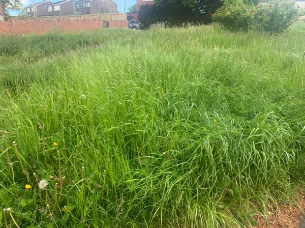 Hexham Courant: GRASS: Areas at Redwell Road, Prudhoe