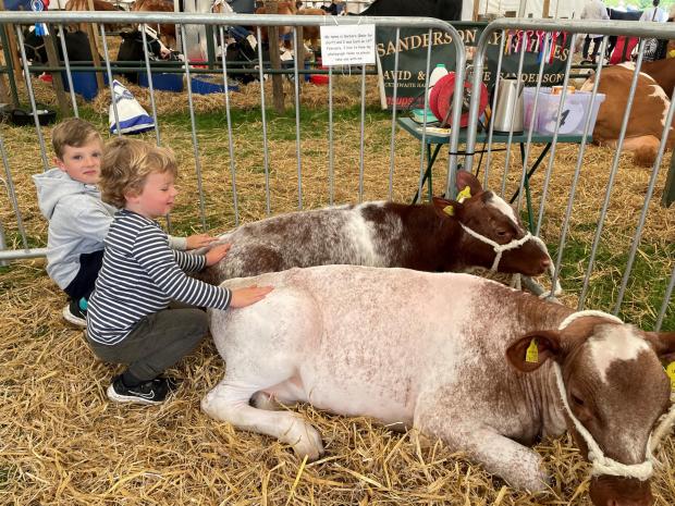 Hexham Courant: Joe and Arthur Woodward at the Northumberland County Show.