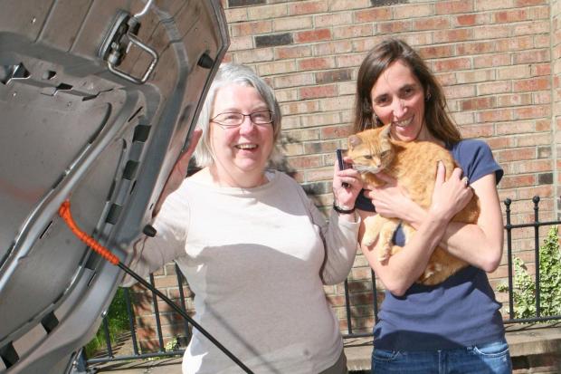 Dandilion the cat from Acomb pictured with owner Gill Edgerley and Janet Brindley, who took her to the shops under her bonnet.