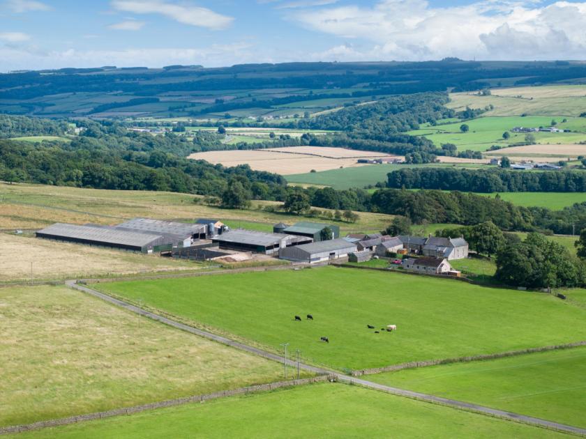 Northumberland's Crow Hall Farm hits the market for £7.5m 