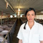 Presenter Liz Bonnin in an internsive pig shed in the US as part of the BBC documentary Meat: A Threat to the Planet? 						 Photo: PA PHOTO/BBC/RAW FACTUAL LTD/BEN MCGEORGE-HENDERSON