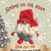GNOME ROAM:Hexham residents to watch out for a new visitor in town