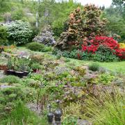 Hexham Hidden Gardens event to take place this weekend. Pictured is John Richards' garden at High Trees, South Park.