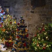 Christmas trees at St Andrew's Christmas Tree Festival