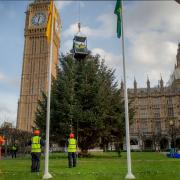 Kielder Christmas tree arrives 'safely' in London after 330-mile trip