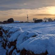 Gemma Brown's picture of snow