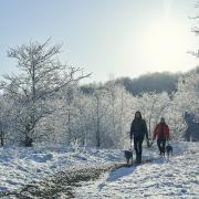 Dog walkers in Walltown Country Park