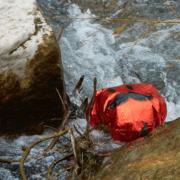 Balloons can fall into rivers and cause harm to marine wildlife