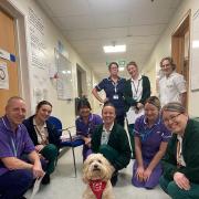 A Wag and Company volunteer's dog with NHS staff